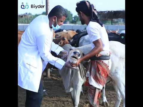 campaign-cover-video-poster